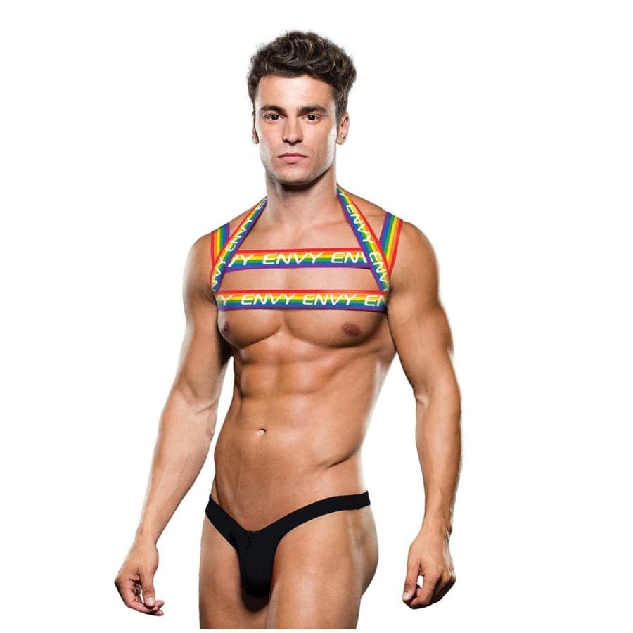 Envy gökkuşağı göğüs harness